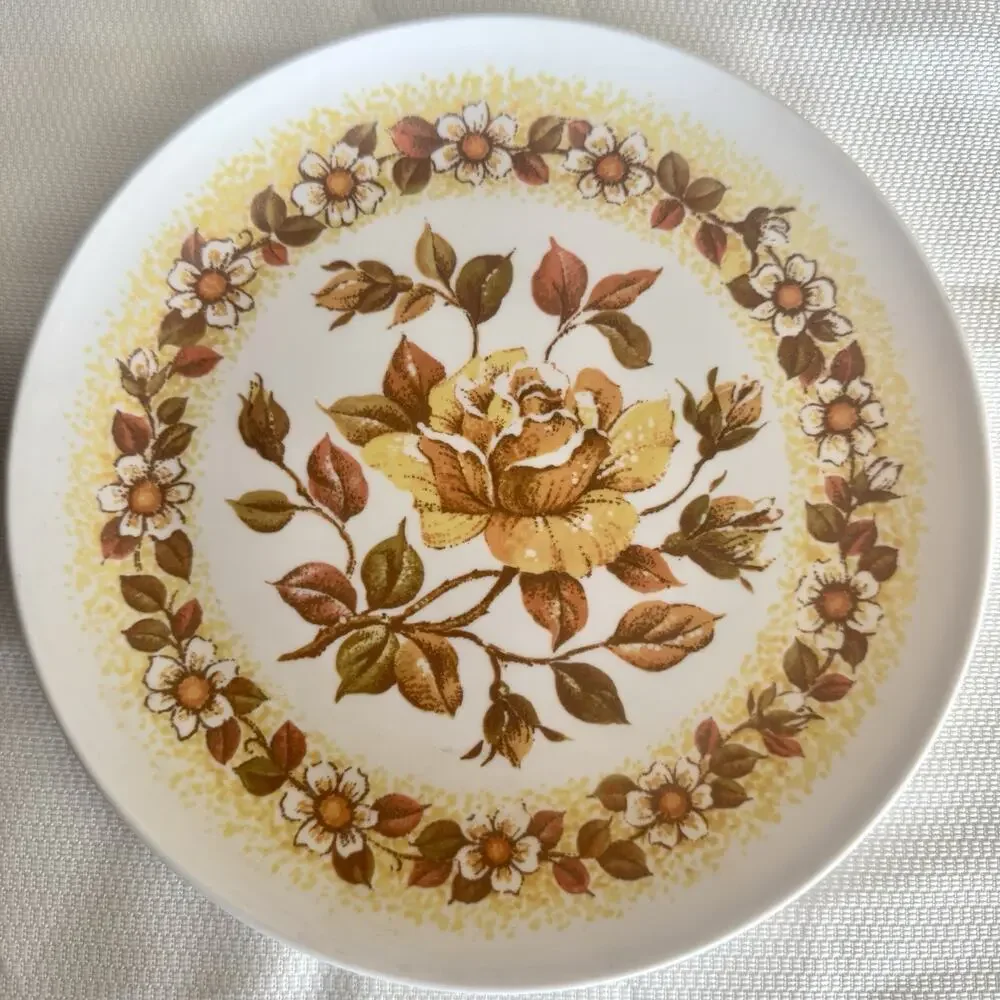 Vtg MCM Set of 5 Melamine Plastic 9